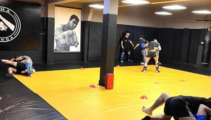 Sanda Mma Uy Precios - Atlántida