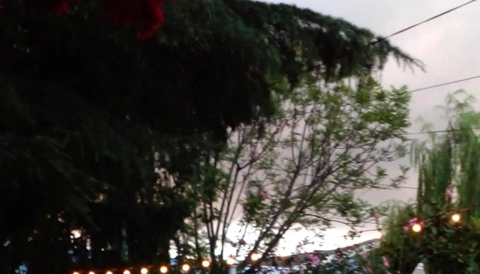 Sandalo Cafe Comentario 1 - Pando