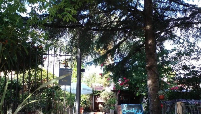 Sandalo Cafe Comentario 2 - Pando