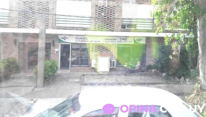 Sapp Floresta -  Instagram - La Floresta