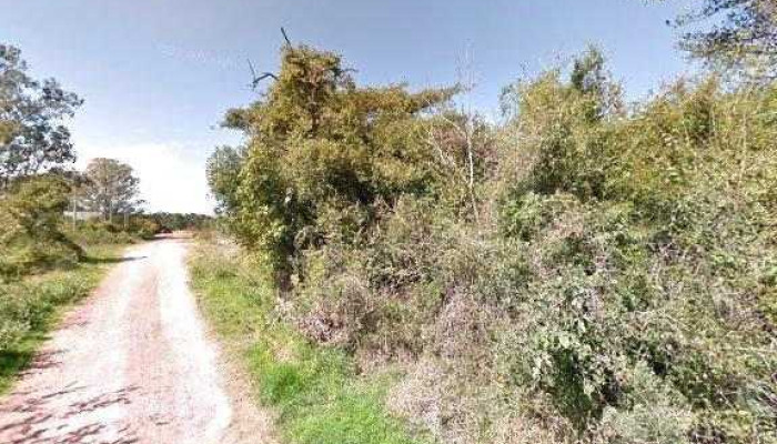 Sar -  Fotos - Nueva Palmira