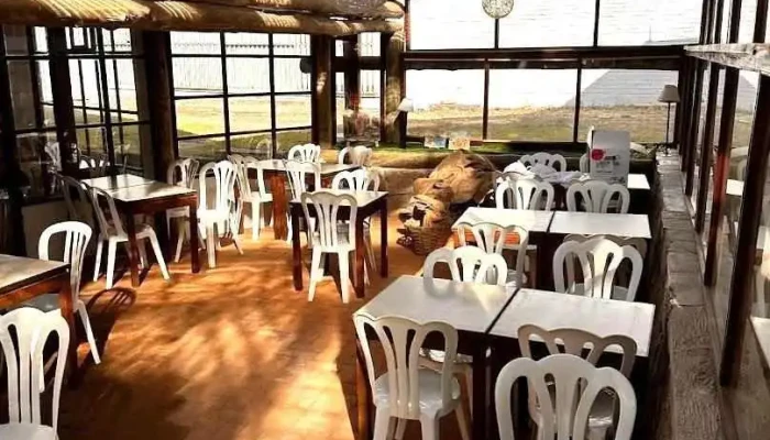 Saru -  Todas - Montevideo