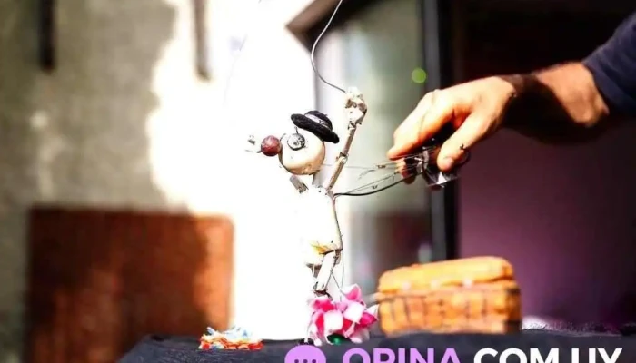 Sauce canelones - 91500 Sauce