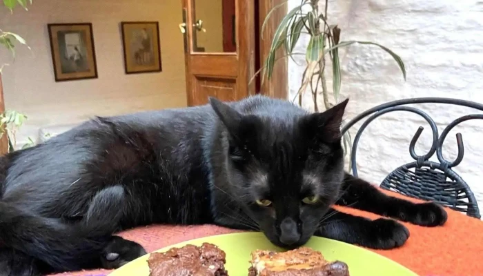 Sauco Cafe Pan De Banana - Montevideo