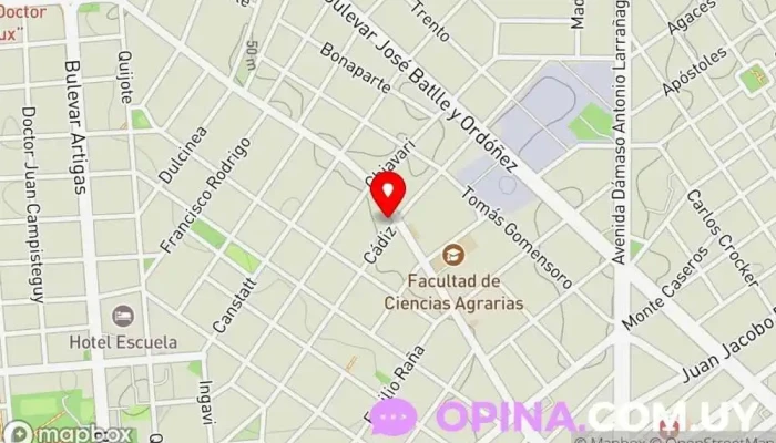 mapa de Say English Center Academia de inglés en Montevideo