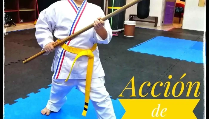Sci Artes Marciales I -  Del Propietario - Montevideo