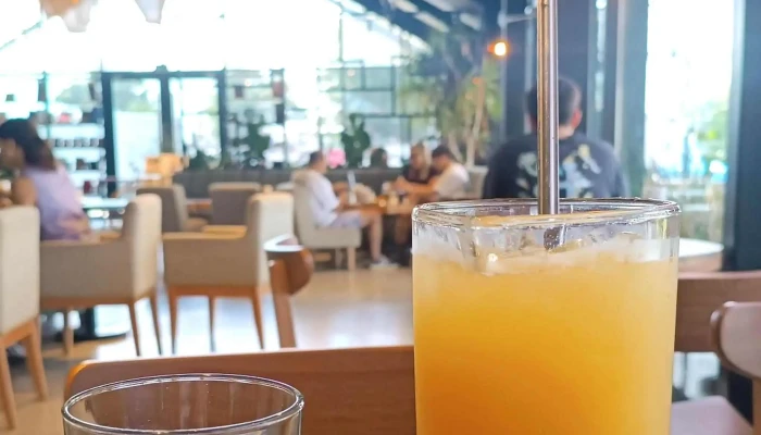 Selva Cafe Libros Donde - Canelones