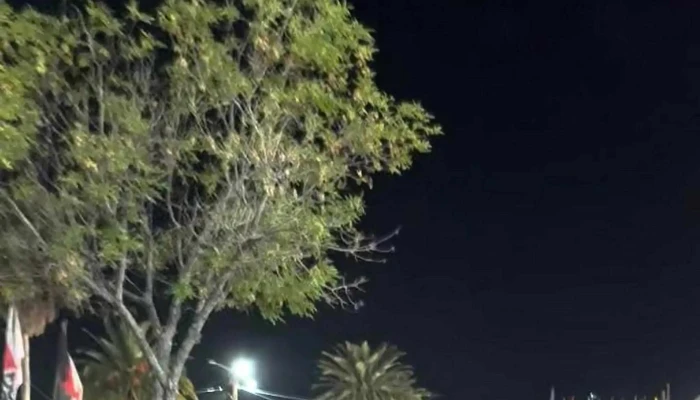 Semana De La Cerveza Paysandu -  Comentario 11 - Paysandú