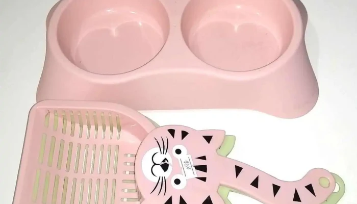 Semilleria San Javier, Nadia Novac - San Javier