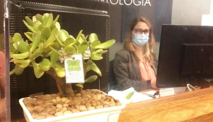 Semm Odontologia Del Propietario - Montevideo