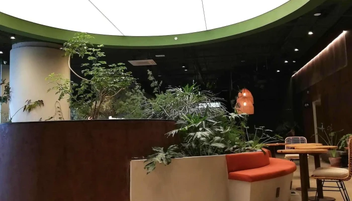 Senda -  Comentario 2 - Montevideo