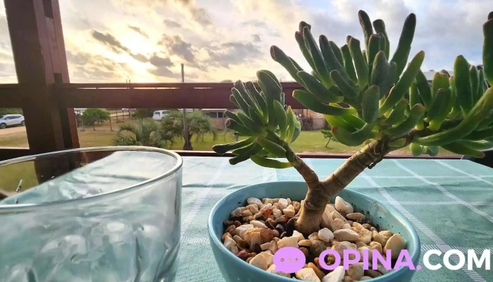 Serena Del Lago -  Comida Y Bebida - La Paloma