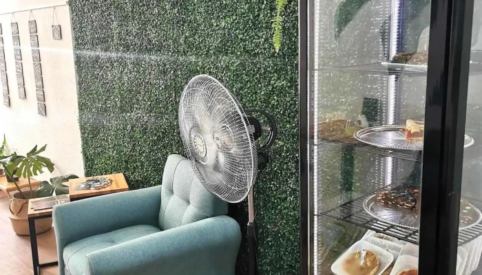 Serendipia Cafe Ambiente - Montevideo