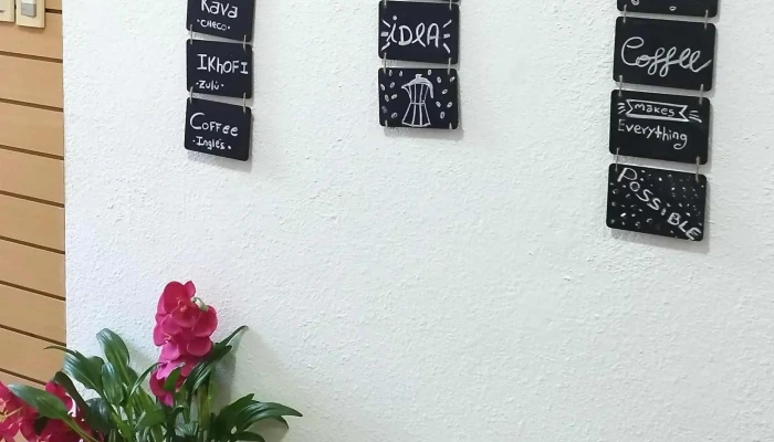 Serendipia Cafe Comentario 5 - Montevideo