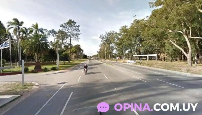 Servicio de Veterinaria y Remonta - Av. De Las Industrias Wilson Ferreira Aldunate