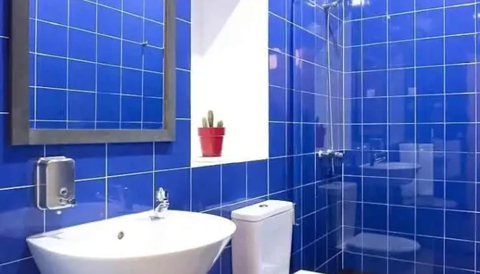 Servicios Sanitarios Claudio Bentancort -  Del Propietario - Montevideo