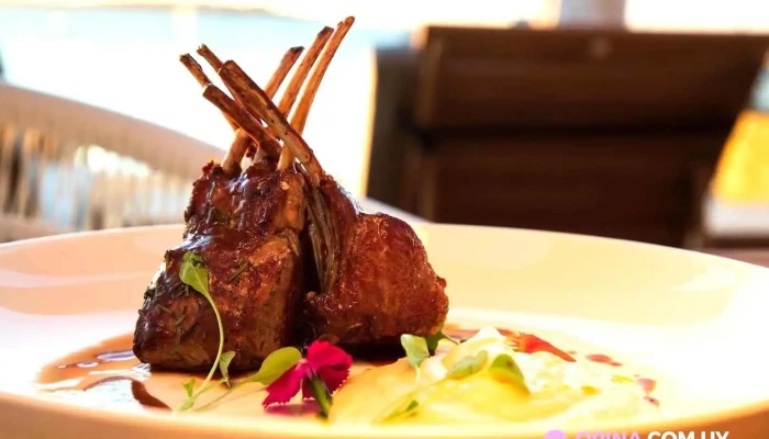 Shark Club -  Comida Y Bebida - Punta del Este