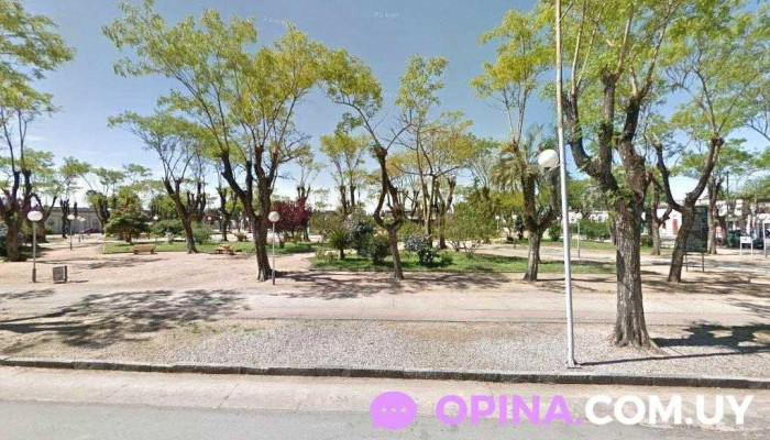 Silvina Shoes - Departamento De Durazno