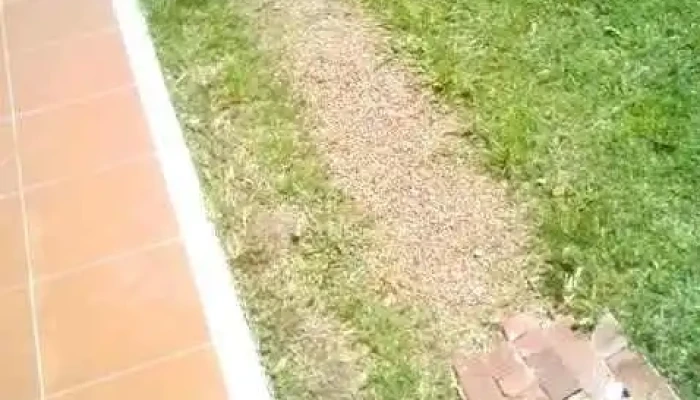 Sindicato Aliofo -  Videos - Empalme Olmos