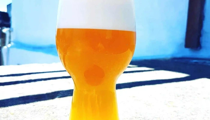 Single Fin Beer -  Comidas Y Bebidas - La Barra