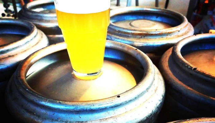 Single Fin Beer -  Todo - La Barra