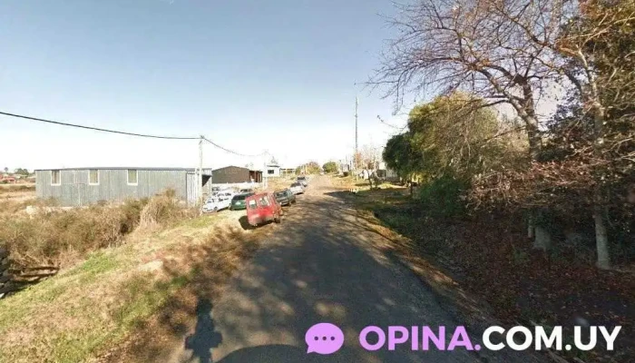 Soares Netto Propiedades - M2