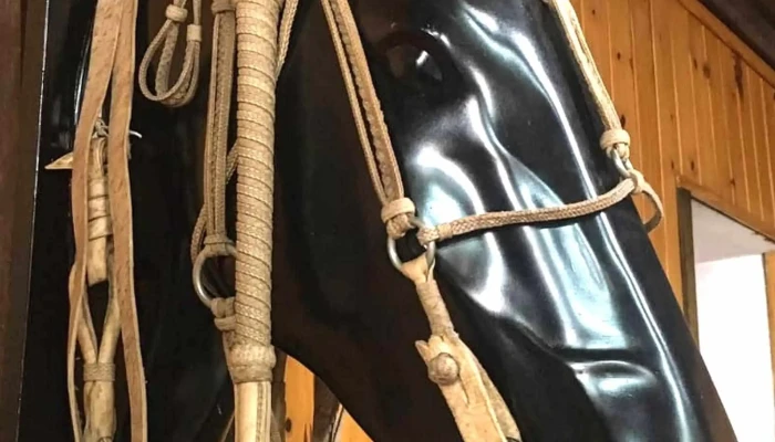 Sociedad Fomento Rural E Industrial De Maldonado -  Puntaje - San Carlos