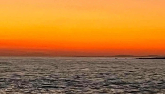 Societe 1907 -  Comentario 2 - Punta del Este