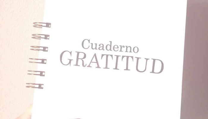 Soff -  Papel - Montevideo