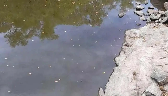 Solis De Mataojo -  Videos - Solís de Mataojo