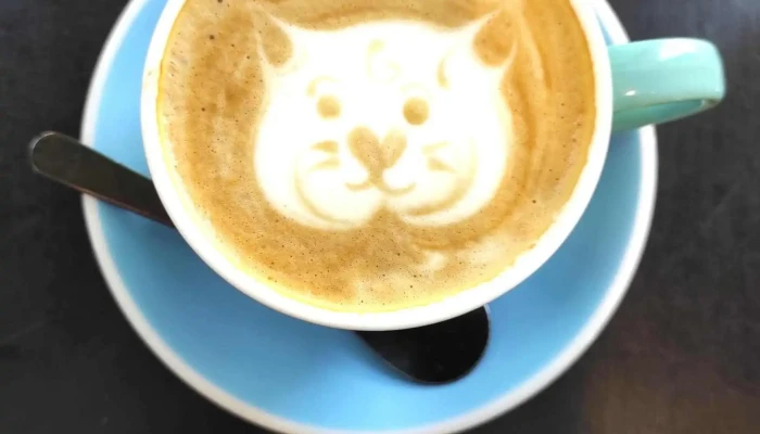 Sometimes Sunday -  Capuchino - Montevideo