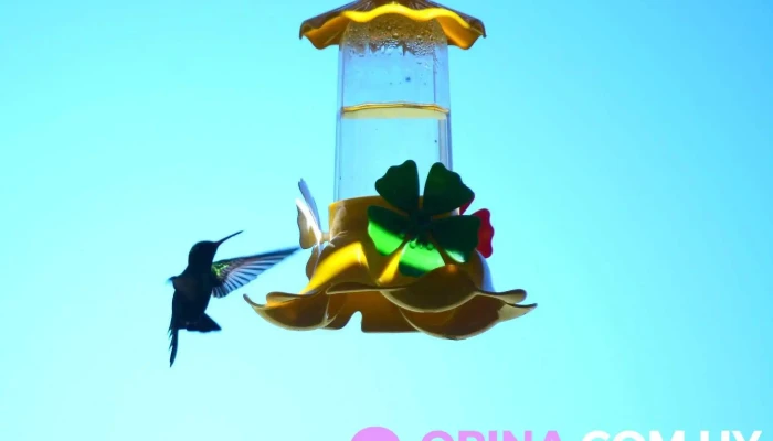 Soñar despierto Yao Yao camping Motorhome y Casas Rodante - El Zorzal Esquina