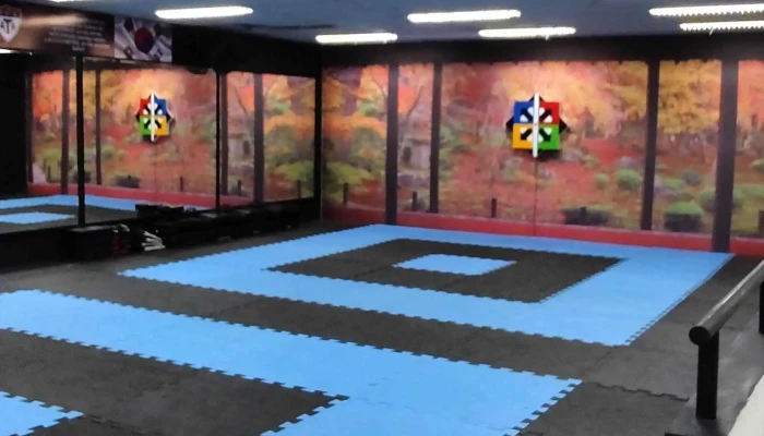 Songahm Taekwondo Florida - Florida