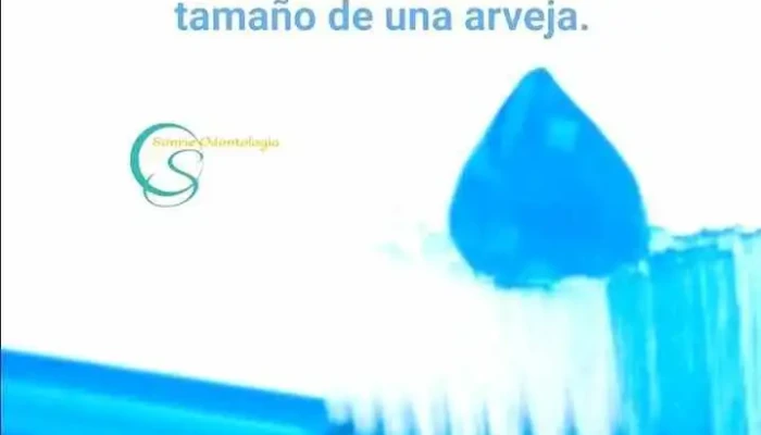 Sonreir Odontologia Cepillo De Dientes - Montevideo