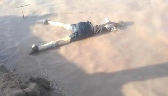 Sopa Do Macaco -  Mas Recientes - Durazno