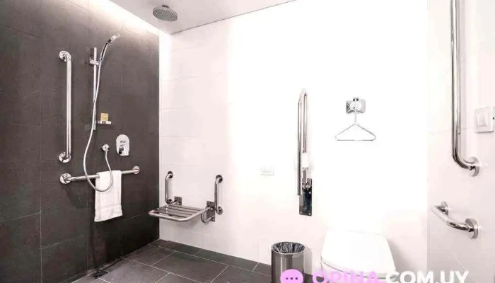 Soro Montevideo Curio Collection By Hilton Del Propietario - Montevideo