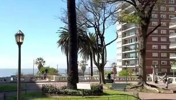 Sou Negocios Inmobiliarios - Montevideo