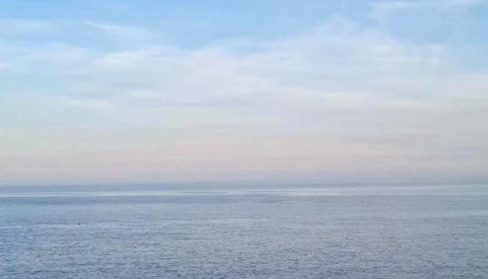 Soul Cocina Resto Bar Cultural -  Videos - Col. del Sacramento