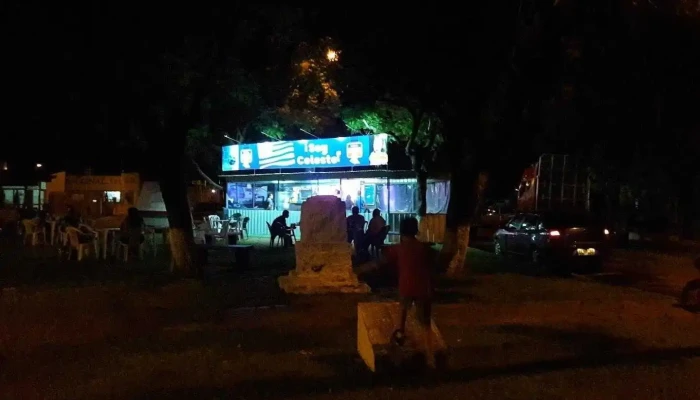 Soy Celeste -  Todas - Paysand&uacute;