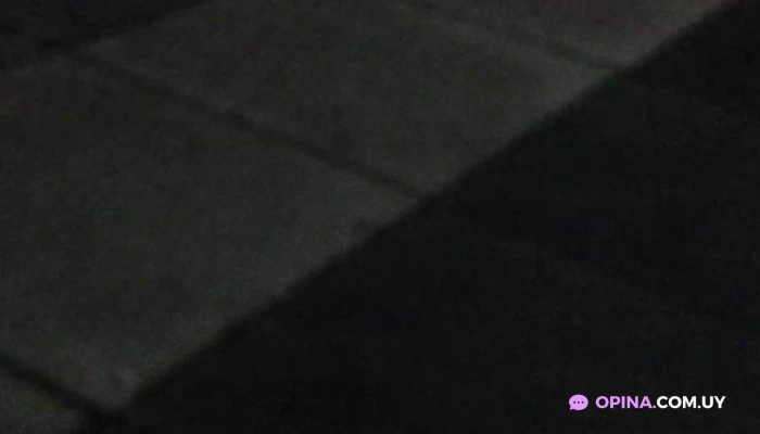 Spiedo El Buen Sabor Videos - Melo