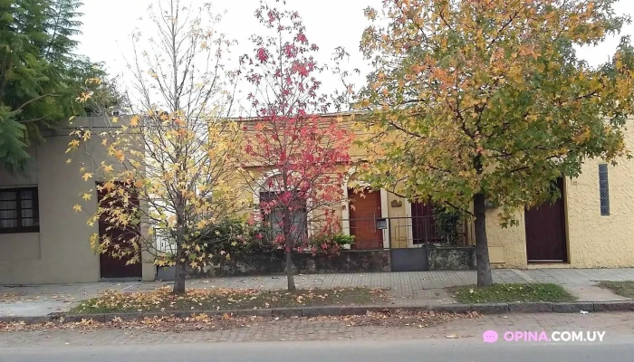 Sportivo Club Olimpia -  Todo - Melo