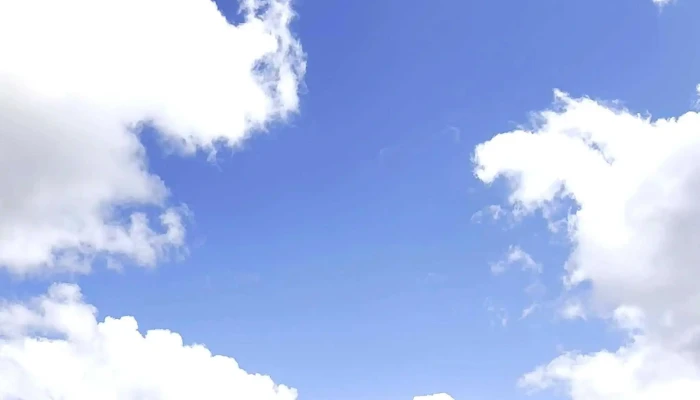 Sprout Escuela De Surf -  Puntaje - La Paloma