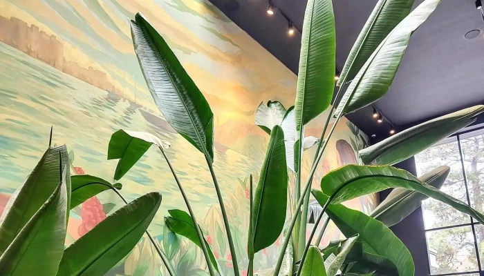 Starbucks -  Comentario 2 - Montevideo