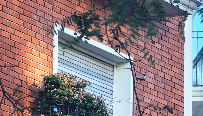 Starbucks -  Comentario 3 - Montevideo