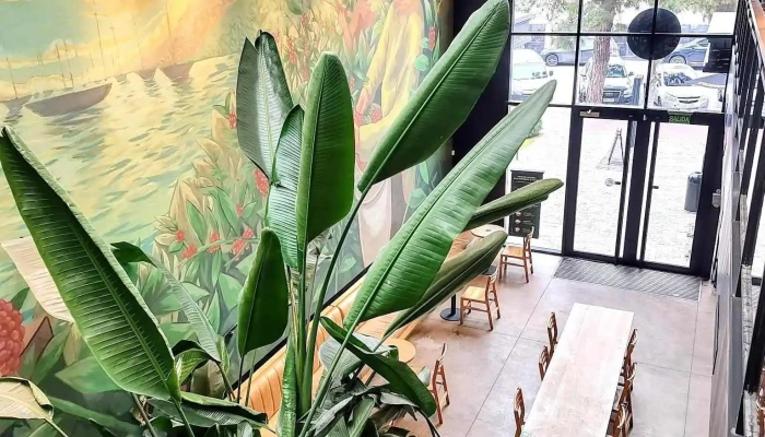 Starbucks -  Recientes - Montevideo