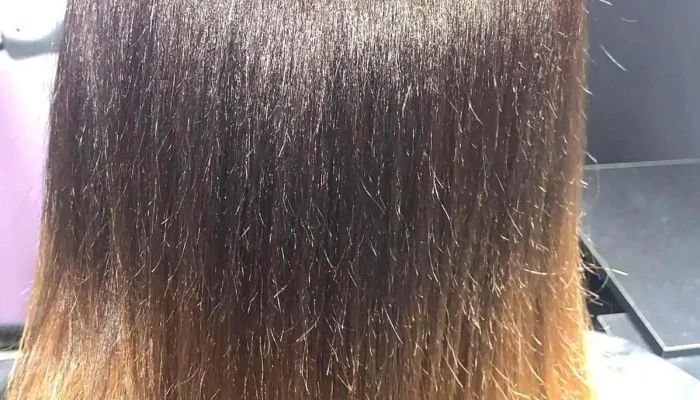 Studio Cyndel Cardoso - - União