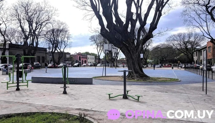 Su Academia de Conducción - Montevideo