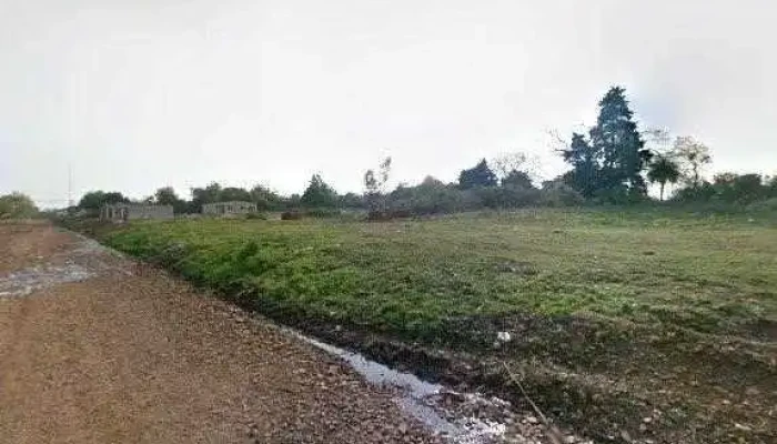 Su Delicias Street View Y 360 - Artigas