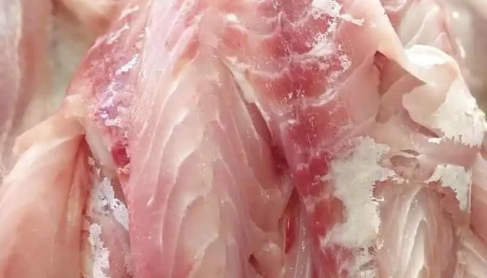 Su Pescaderia -  Comida Y Bebida - Progreso