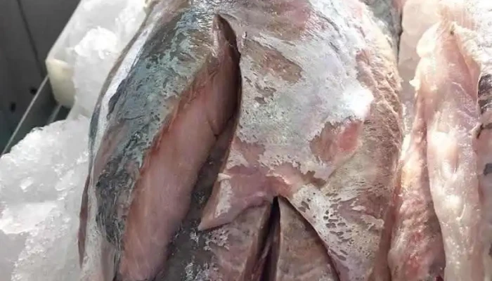 Su Pescaderia -  Del Propietario - Progreso